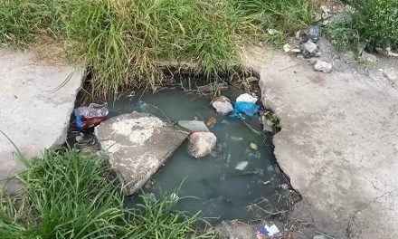 Alcantarilla de drenaje contamina, tiene un año brotando en colonia El Salvador
