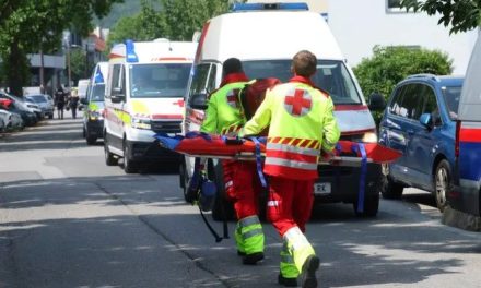 Tiroteo en centro escolar de Austria deja 10 muertos