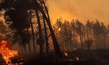 Incendio forestal azota Atenas, Grecia y obliga a evacuaciones