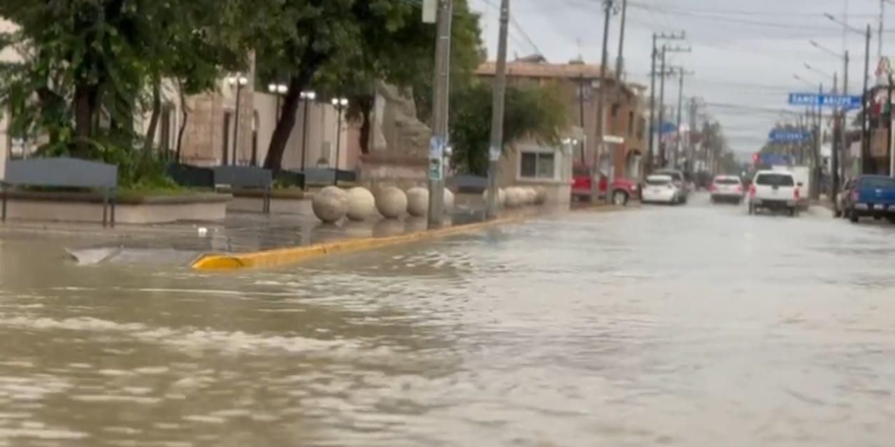 Encharcamientos y caída de árboles, recuento de los daños en Ciudad Acuña.