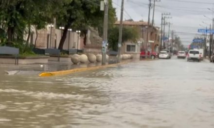 Encharcamientos y caída de árboles, recuento de los daños en Ciudad Acuña.