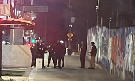Hallan cadáver en vías del Metro Bellas Artes