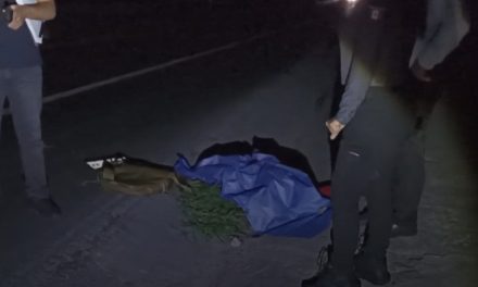Motociclista muere al ser atropellado por un tráiler sobre el Libramiento Norponiente