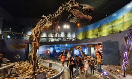 Se trabaja para ofrecer museos interactivos en Coahuila