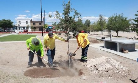 Equipo de ‘Aquí Andamos’ trabaja en plaza pública de colonia Mirasierra