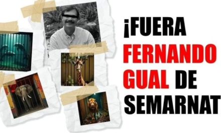 Protestan en CDMX para exigir destitución de funcionario de Semarnat