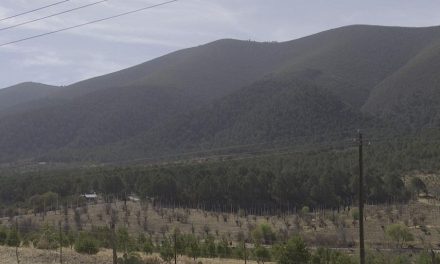 A cuidar la Sierra de Arteaga, llaman a visitarla con responsabilidad