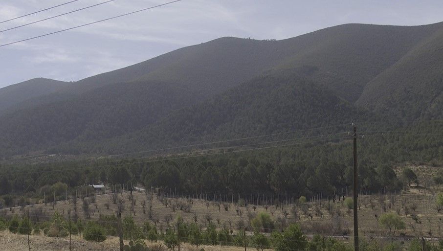A cuidar la Sierra de Arteaga, llaman a visitarla con responsabilidad