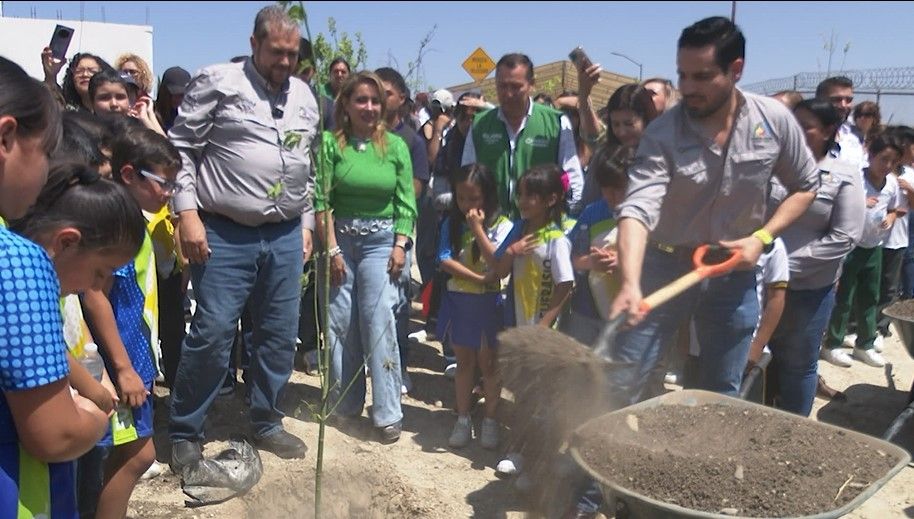Tendrá Ramos reforestación histórica