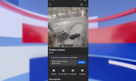 Trasciende en redes sociales venta de fósiles en Facebook