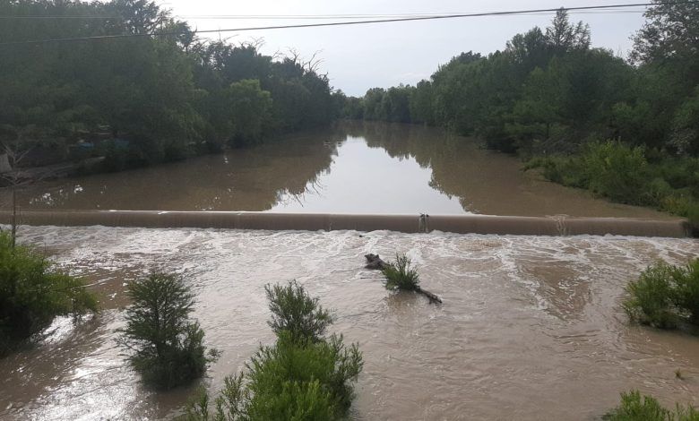 Lluvias fueron un gran beneficio para el campo tras la sequía