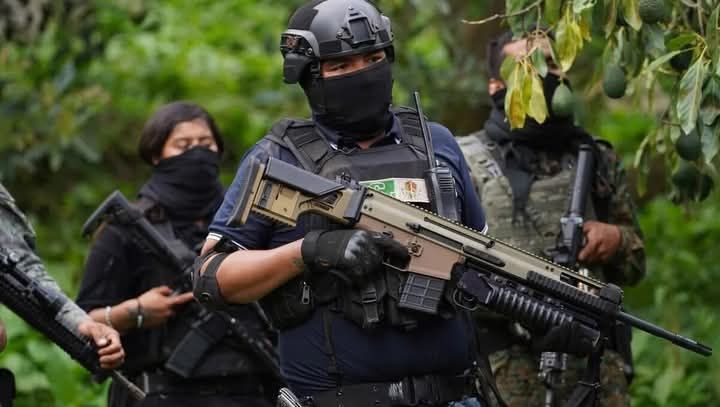 Red internacional vendió armamento al CJNG; acusan a cuatro extranjeros