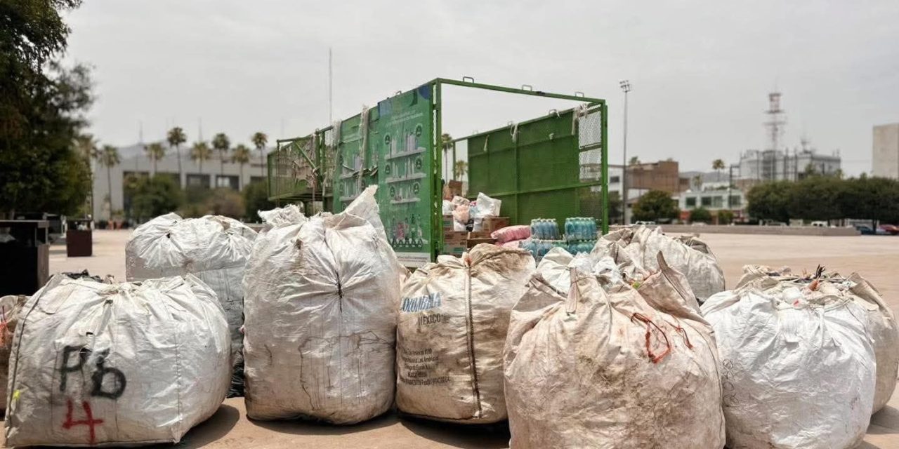 Recolectan más de 1,260 kilos de residuos reciclables en Torreón