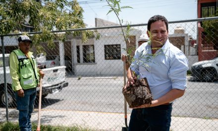 Reforesta Administración de Javier Díaz siete mil 823 árboles