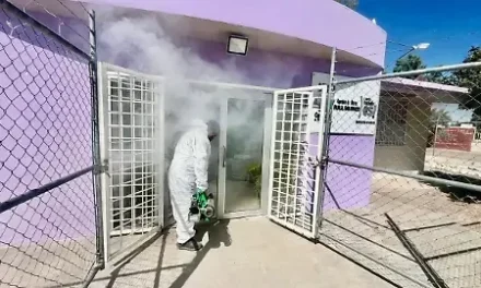 Coahuila no baja la guardia en la lucha contra el dengue