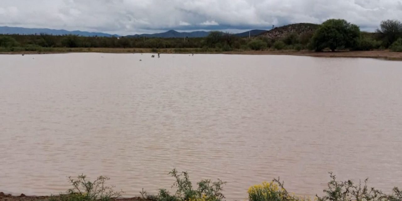 Lluvias benefician al campo saltillense
