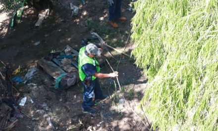 Avanzan labores de limpieza en Saltillo tras tormenta