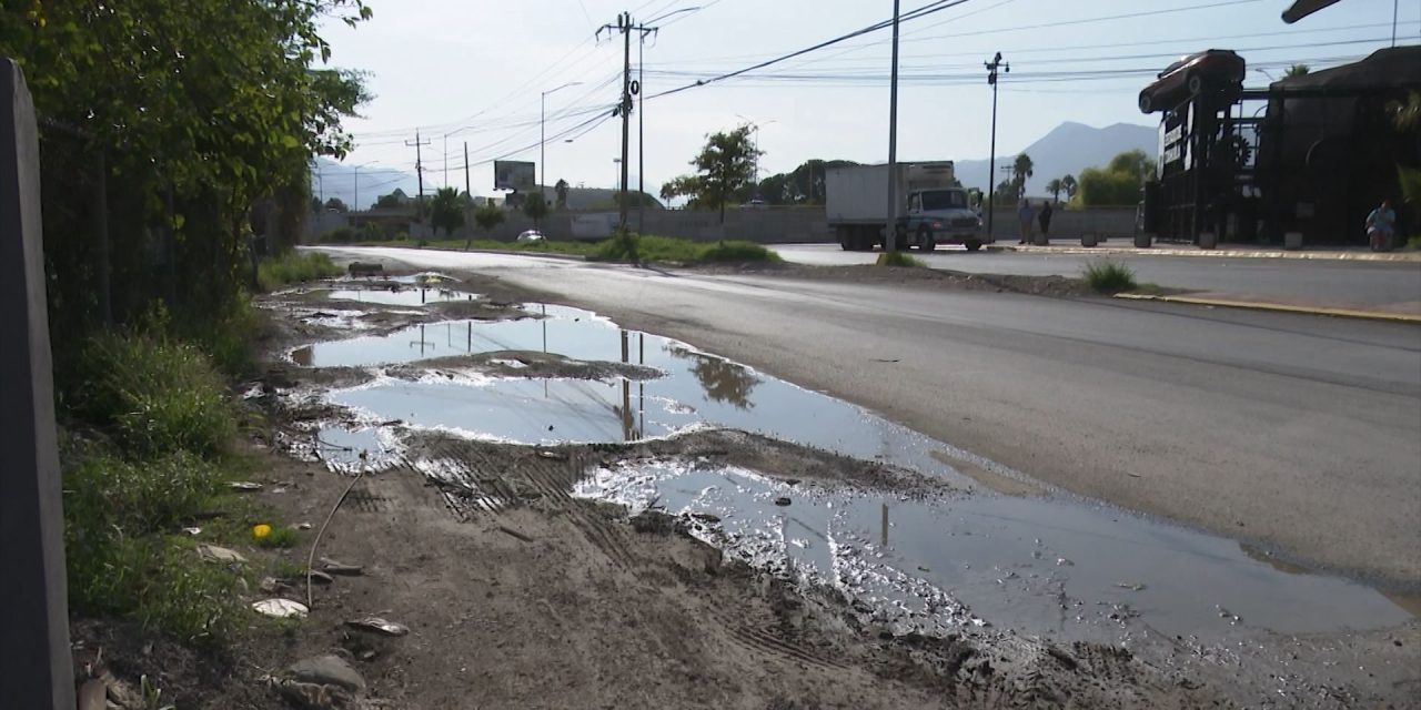 Aumenta el riesgo de dengue tras las lluvias