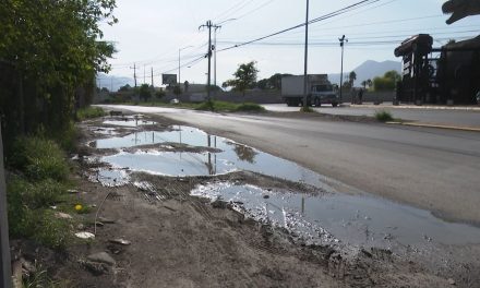 Aumenta el riesgo de dengue tras las lluvias