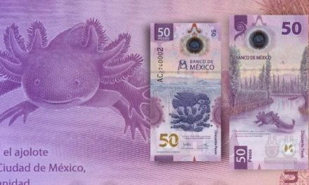 Más de 12 millones de billetes de 50 pesos han sido retirados por su diseño con ajolote