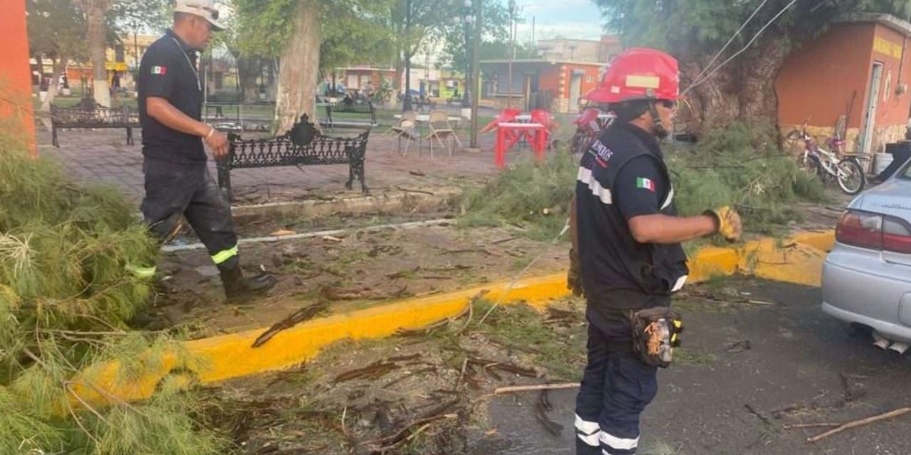 Tormenta derriba postes y árboles en Villa de Palaú