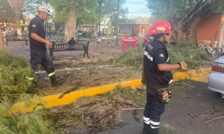 Tormenta derriba postes y árboles en Villa de Palaú