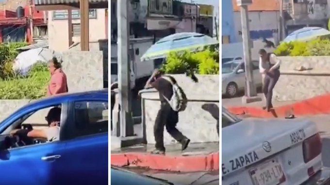 Ave ataca a peatones en Cuernavaca para proteger su nido (video)