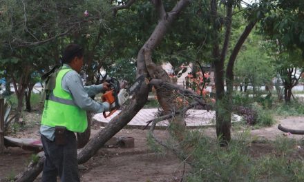 Continúa Gobierno de Saltillo trabajo de rescate de plazas públicas