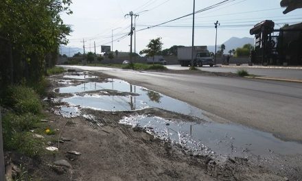Esperan mayor presencia de mosquitos, etán dadas las condiciones por las lluvias