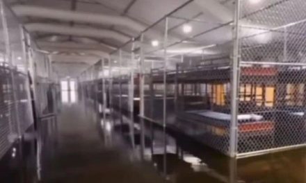 Se inunda centro de detención ‘Alligator Alcatraz’ a horas de su inauguración en Florida