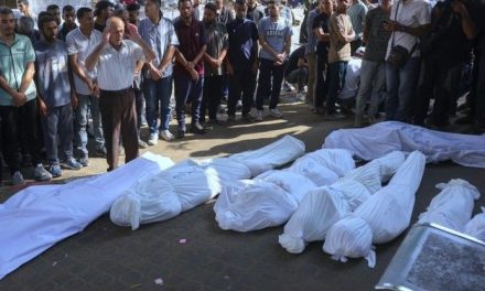 Periodista embarazada y nueve familiares mueren en bombardeo israelí