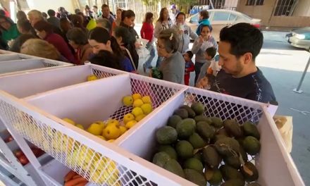 Llegará este martes Mercadito del PRI a la colonia La Valencia