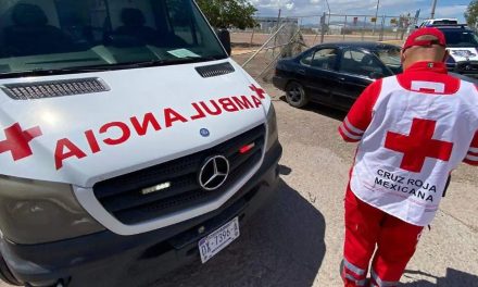 Niña es atacada por perro en Chihuahua y es hospitalizada días después