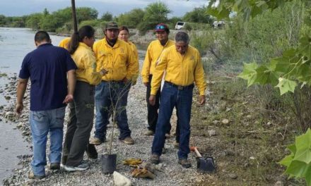 Negros Mascogos y la Conanp realizan jornada de reforestación en el río Sabinas