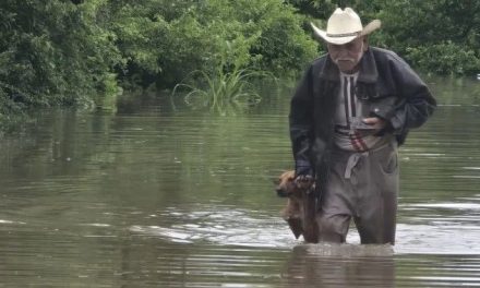 ‘Cruzaré los montes, los ríos por irte a encontrar’ Abuelito salva a su perrito de las inundaciones