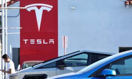 Tesla reporta su peor caída en más de una década