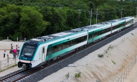 Semarnat saca a la luz estudios sobre el impacto ambiental del Tren Maya