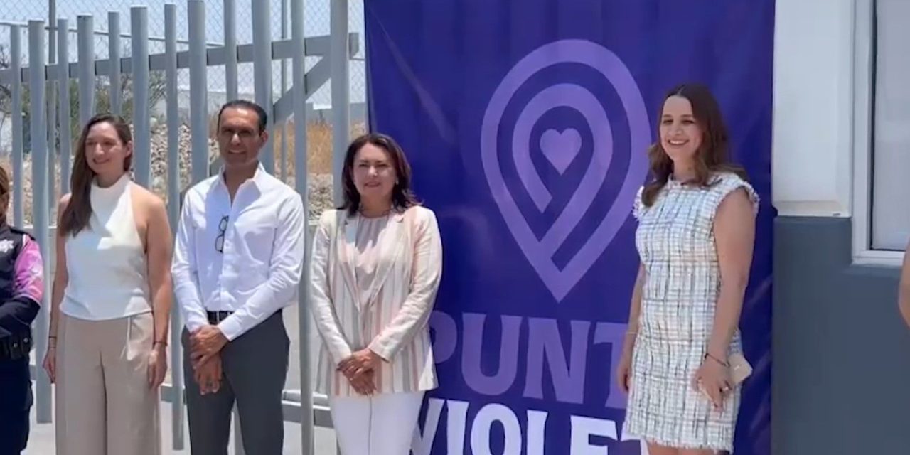 Universidades se convertirán en Puntos Violeta