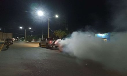 Refuerzan brigadas de fumigación para prevenir el dengue