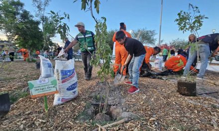 Torreón invierte en mejoras del espacio público
