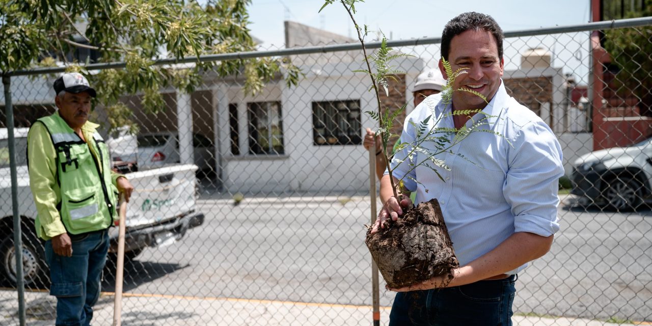 Avanzan las acciones de reforestación de espacios públicos de Saltillo 