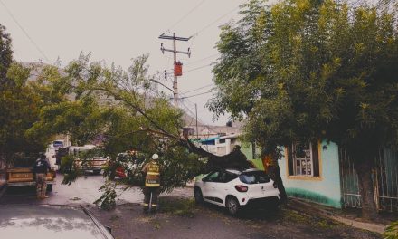 Atiende Gobierno de Saltillo afectaciones por lluvias