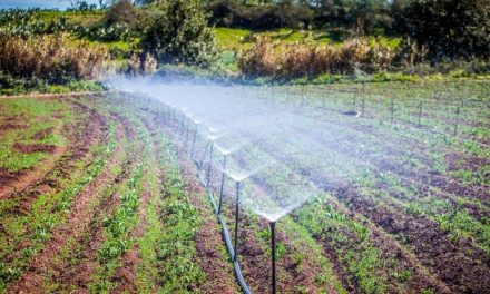 76% del agua en México se destina a la agricultura: CONAGUA