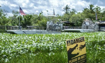 Mexicanos denuncian malas condiciones en centro ‘Alcatraz de los Caimanes’