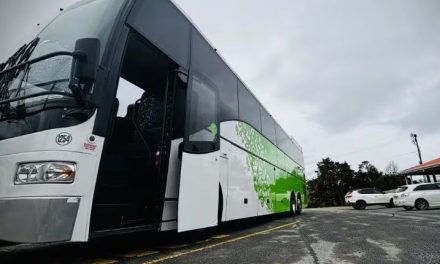 Conductor de autobús en Nueva Zelanda rescata a una pequeña de 2 años que estaba en una maleta de equipaje