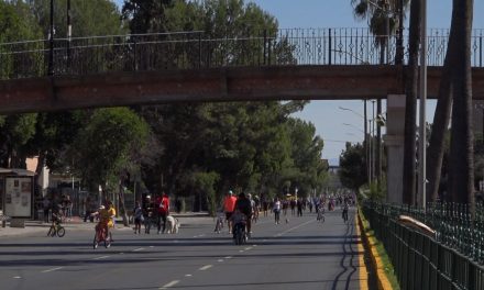 Disfrutan familias actividades  de la Ruta Recreativa