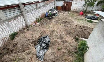 Encuentran restos de 32 personas en fosa clandestina en Irapuato