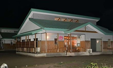 Mujer es atacada por un oso en un hogar para personas discapacitadas en Japón