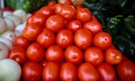 México fija precios mínimos de exportación para el jitomate para proteger el mercado nacional