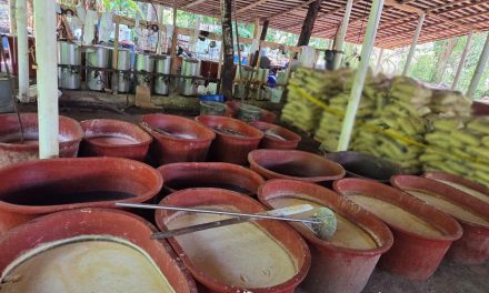 Desmantelan laboratorio de metanfetaminas en Chiapas y aseguran químicos en Guerrero